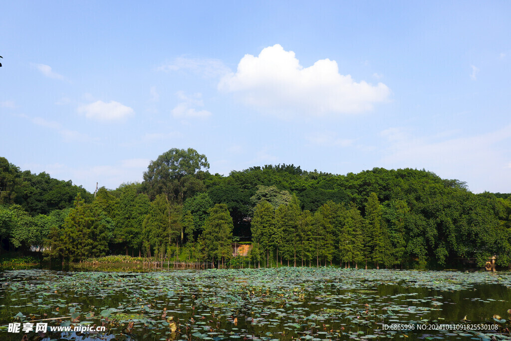 麓湖公园