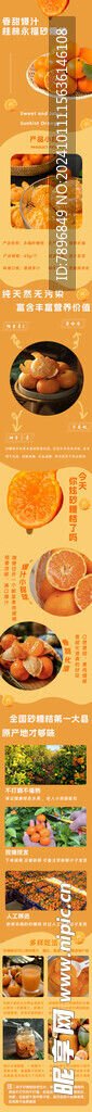 砂糖桔详情页
