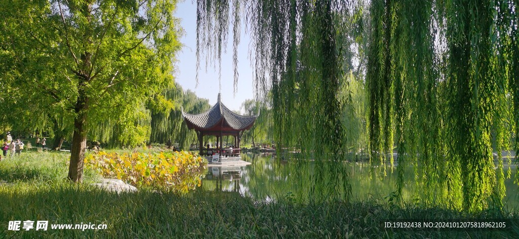 公园风景 