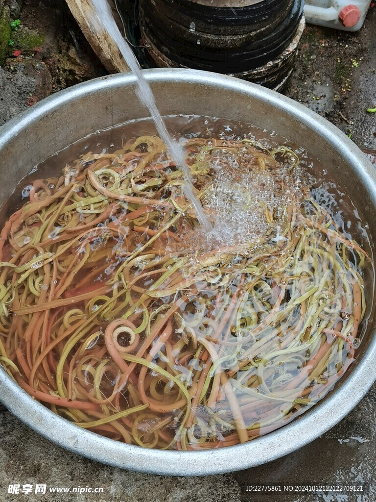 农村植物蔬菜阙勾