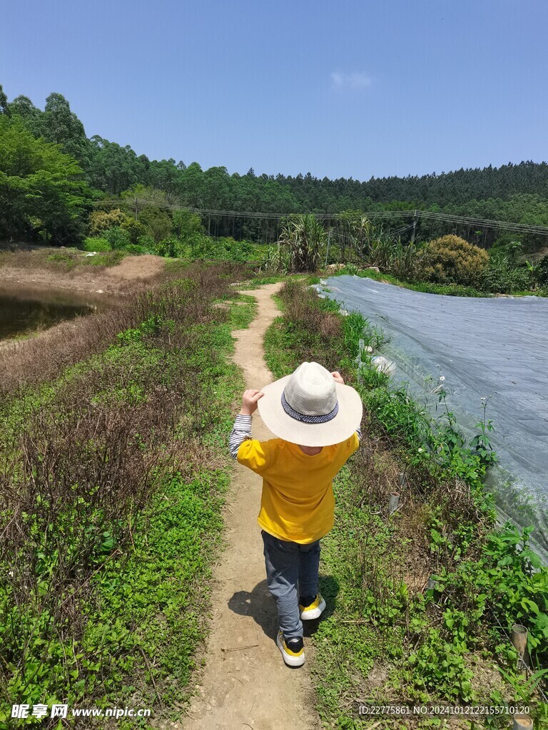 农村田地景色