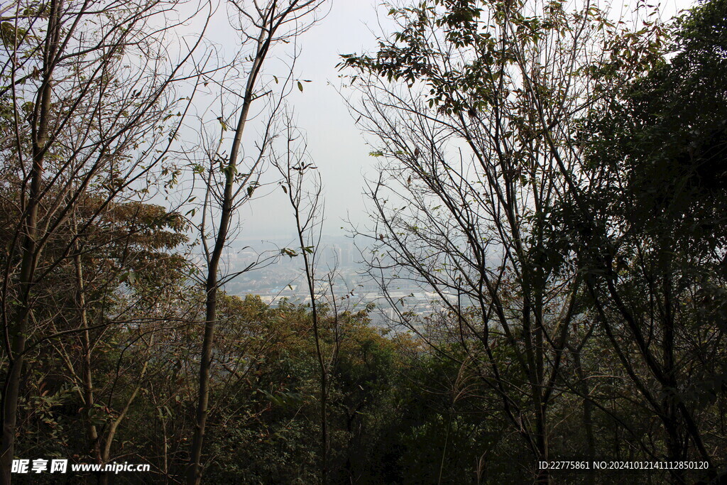 山区郊野景色