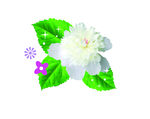 鲜花