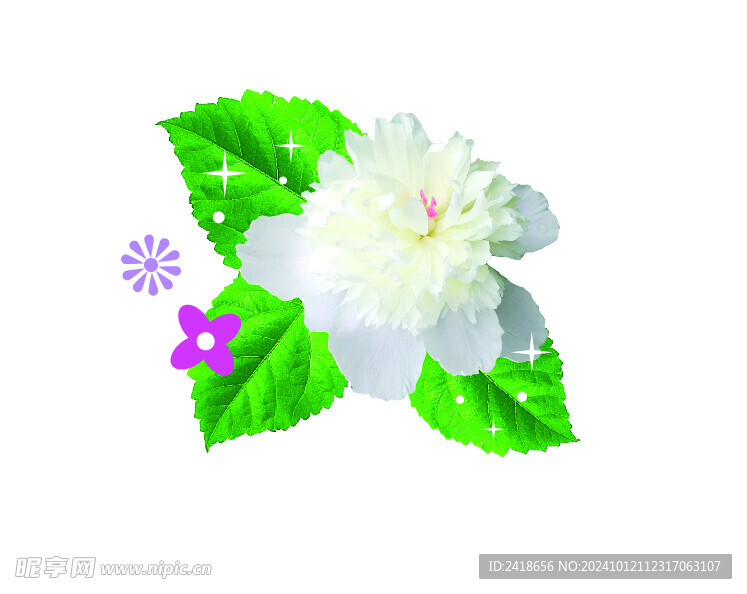 鲜花