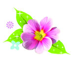 鲜花