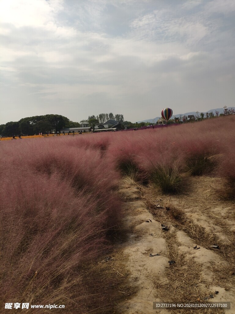 粉黛
