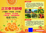 奉节脐橙 