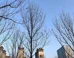 城市一角