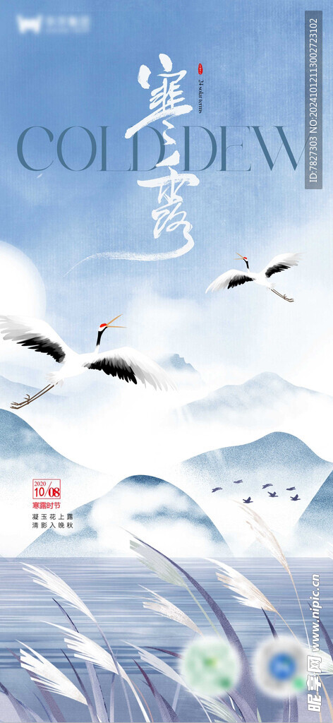 寒露节气微海报