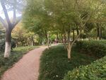 小区绿化