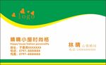 绿色名片