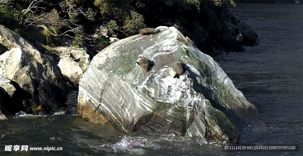 米尔福德峡湾风景