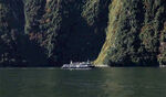 米尔福德峡湾风景