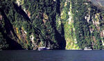 米尔福德峡湾风景
