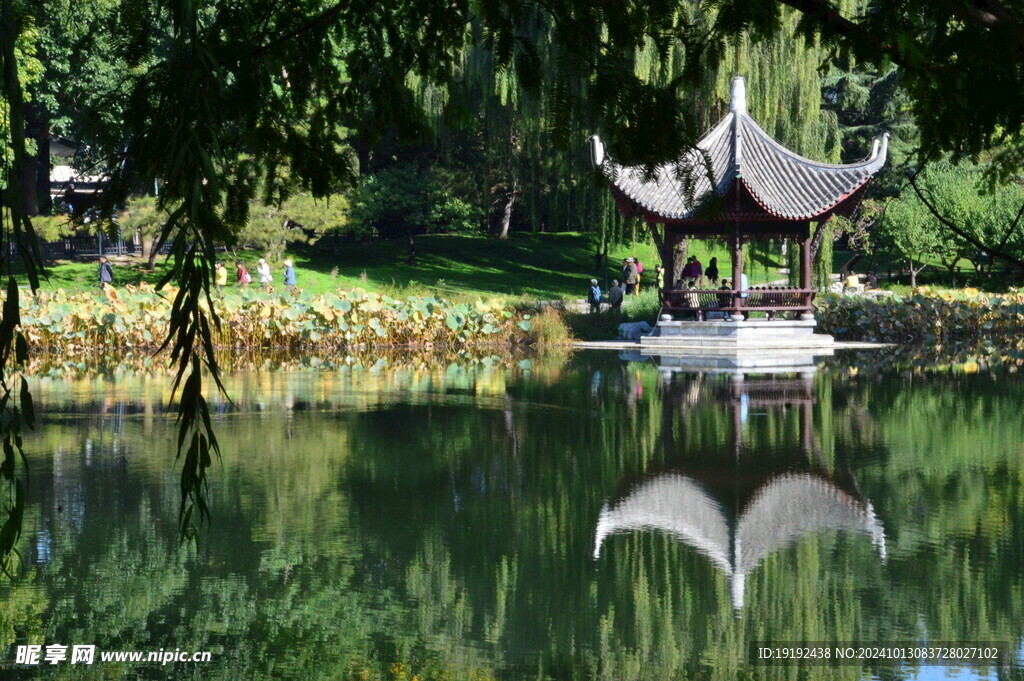 公园风景  