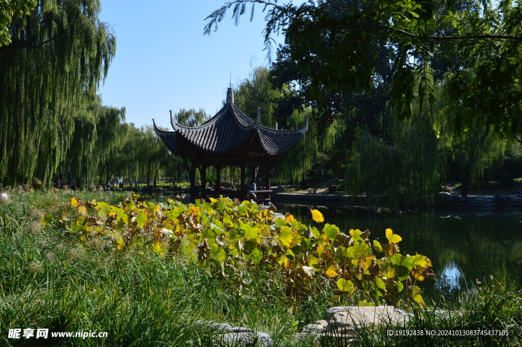 公园风景  