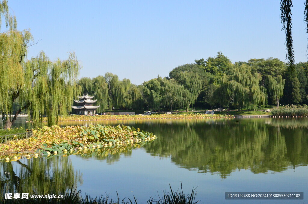公园风景  