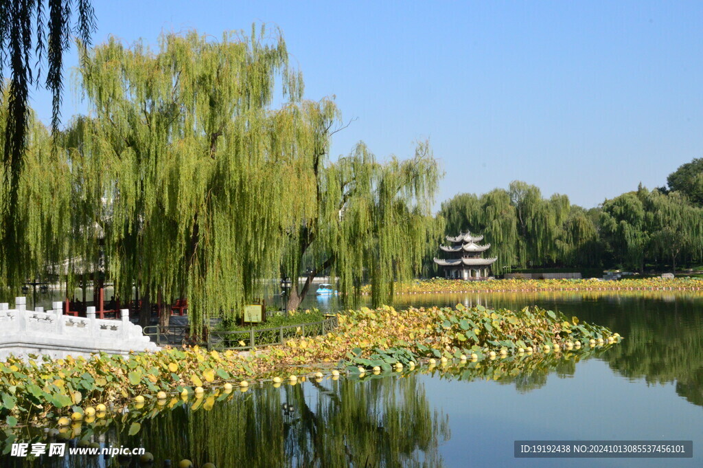 公园风景  