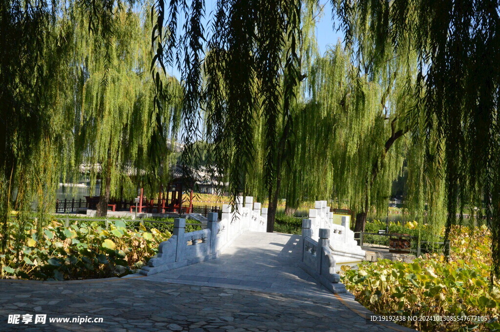 公园风景 