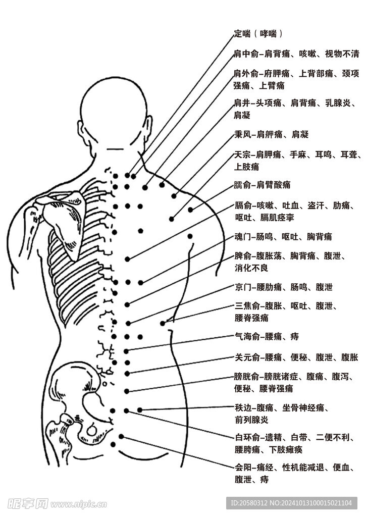 身体背部经络及病理图