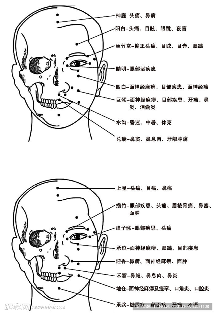 头部穴位经络及病理图