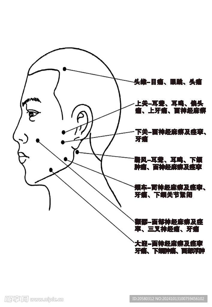 面部穴位经络及病理图