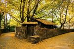 乡村