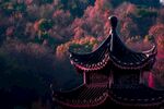 古建筑