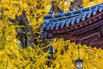 古建筑