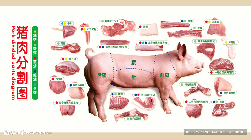 猪肉分割图 