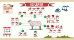 羊肉分割图 