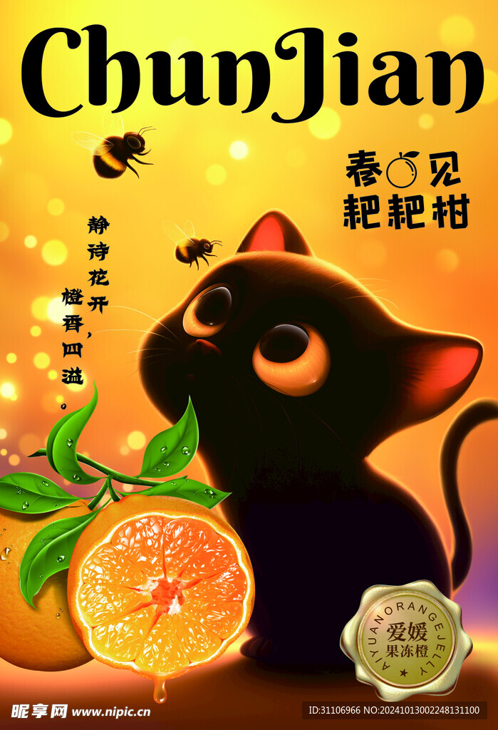 小黑猫的耙耙柑