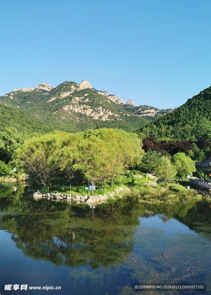 泰山