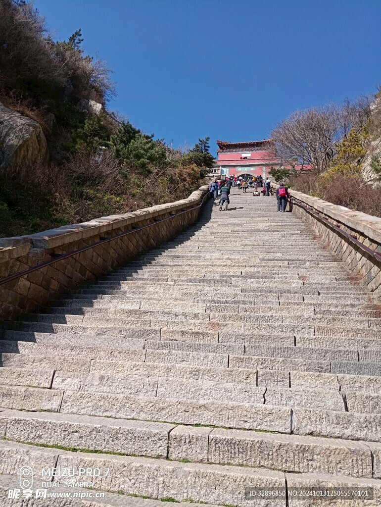 泰山