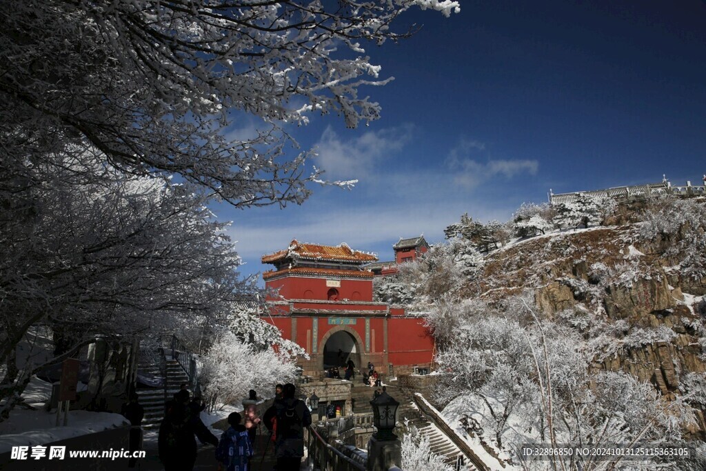 泰山