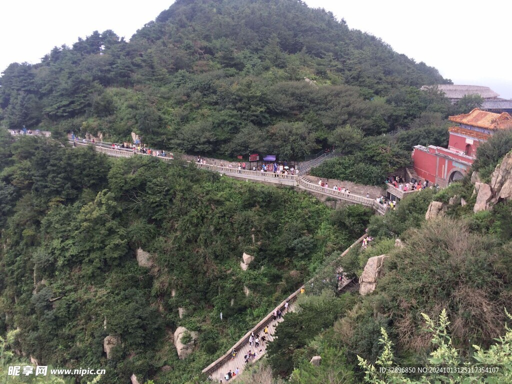 泰山