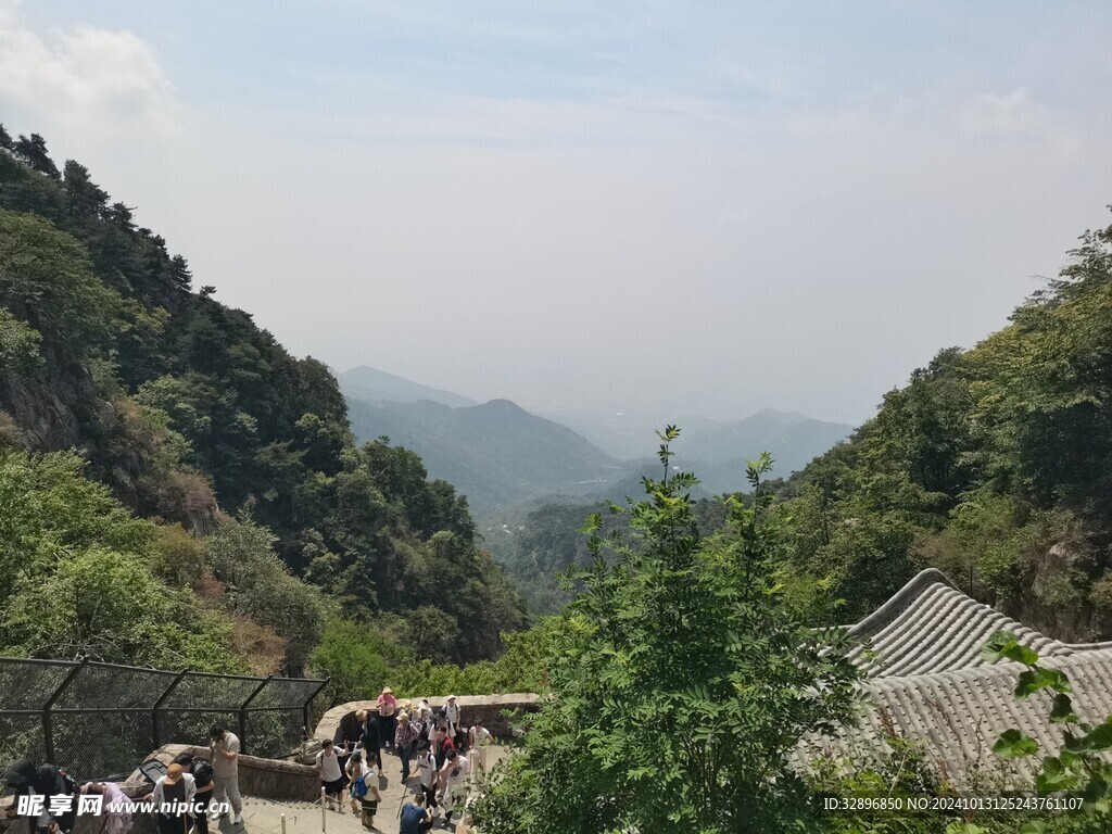 泰山