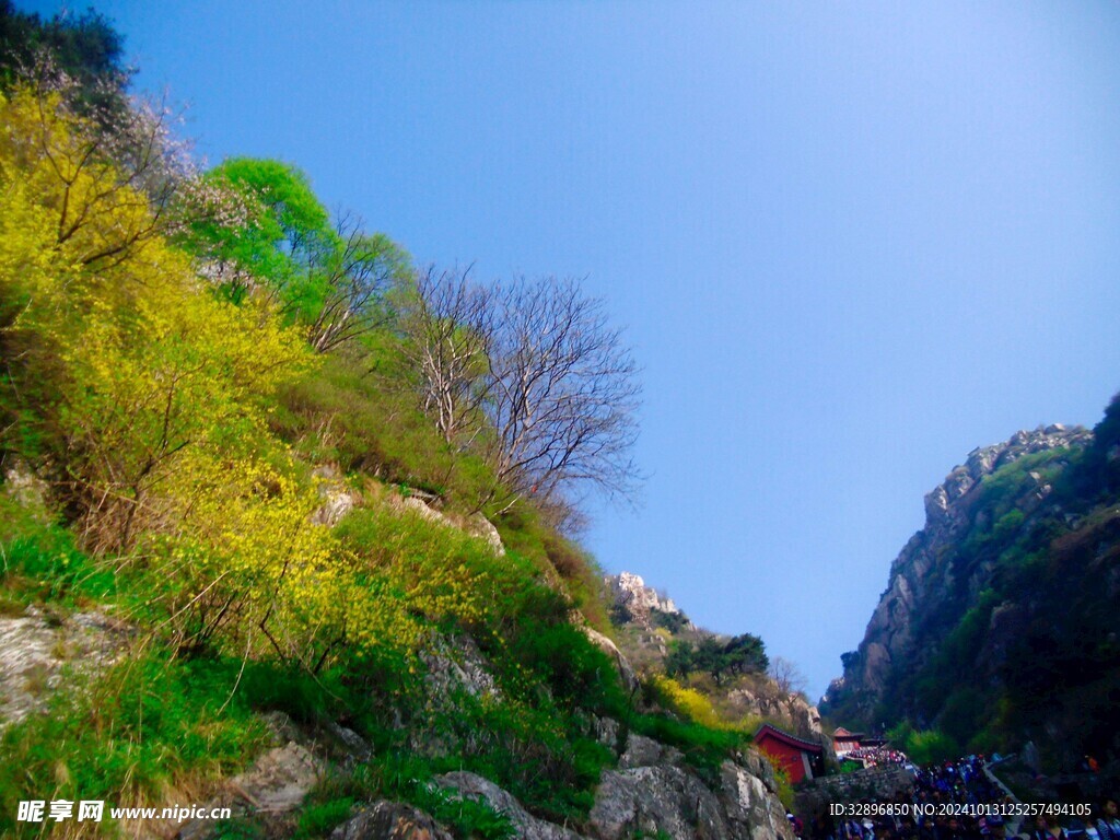 泰山