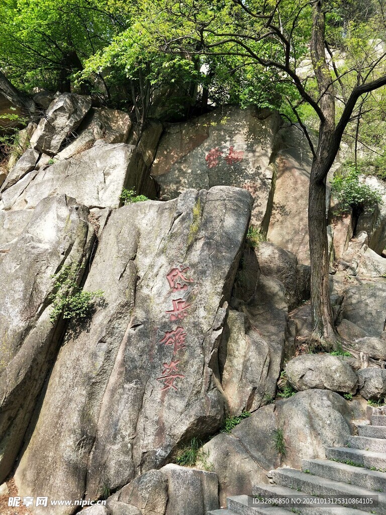 泰山