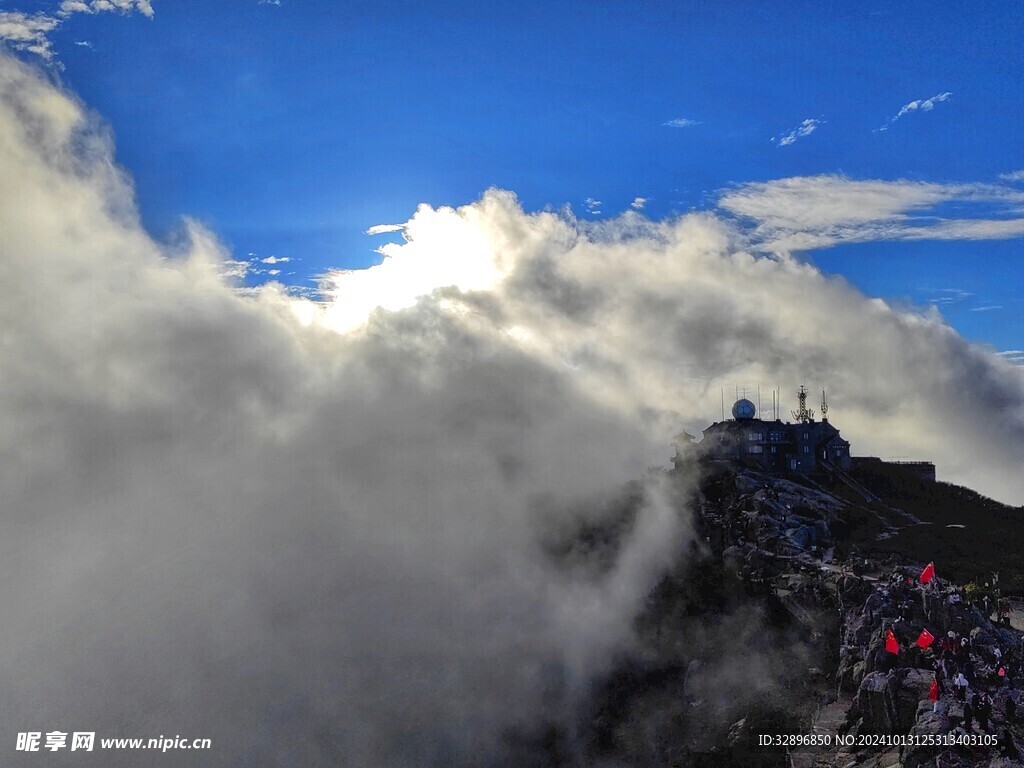 泰山
