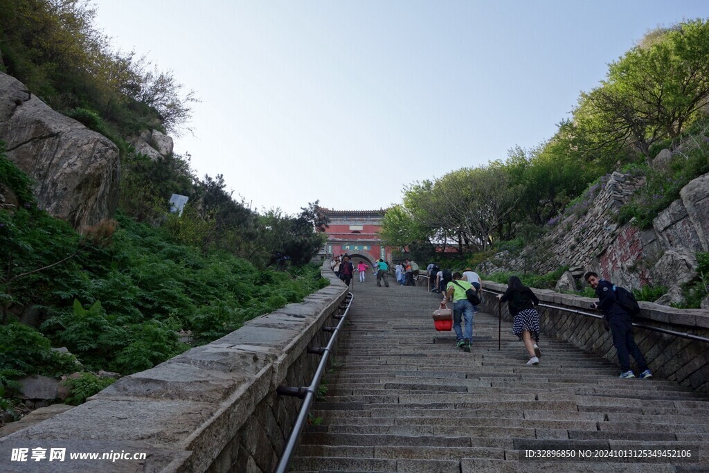 泰山