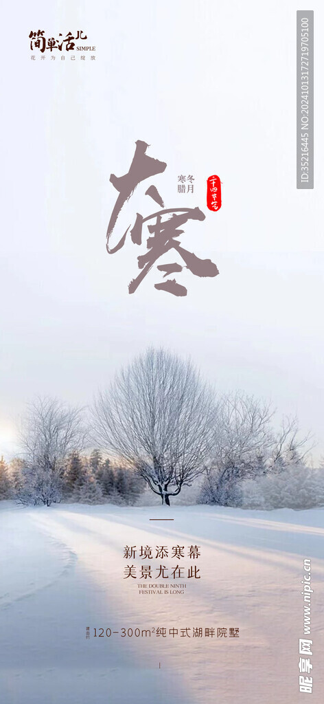 大寒海报