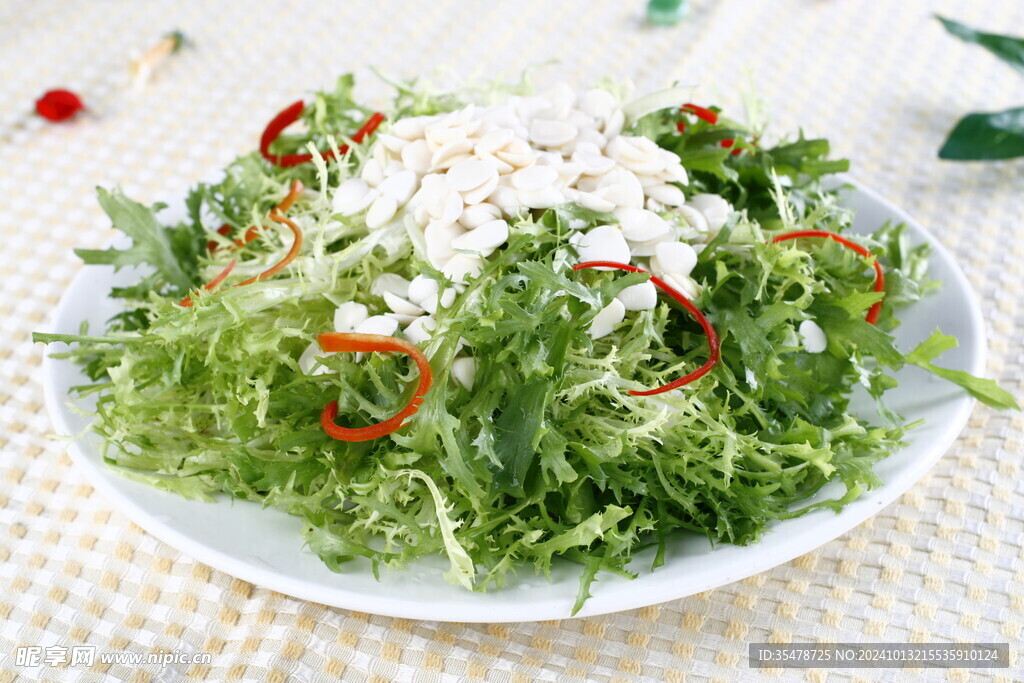 杏仁苦菊