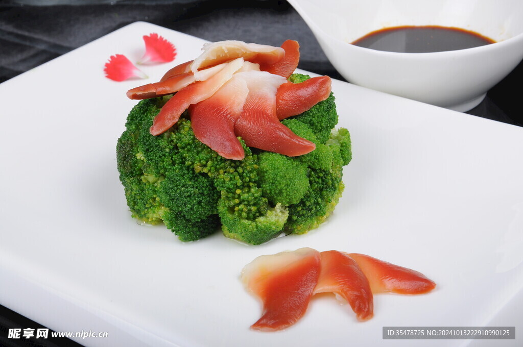 兰花美极北极贝