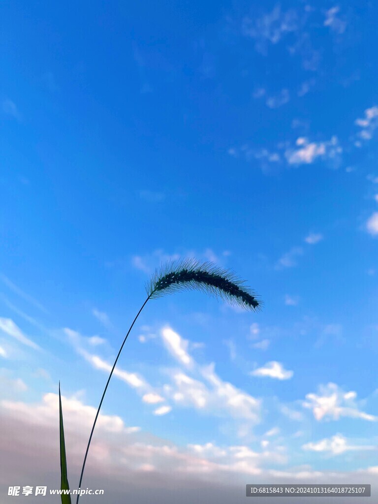 天空