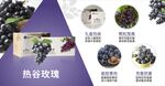 葡萄海报