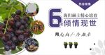 葡萄海报