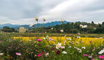 山区小镇