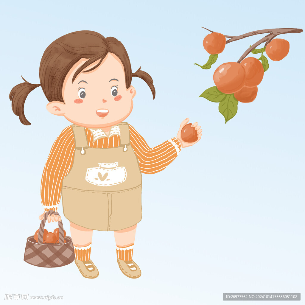  女孩摘柿子 