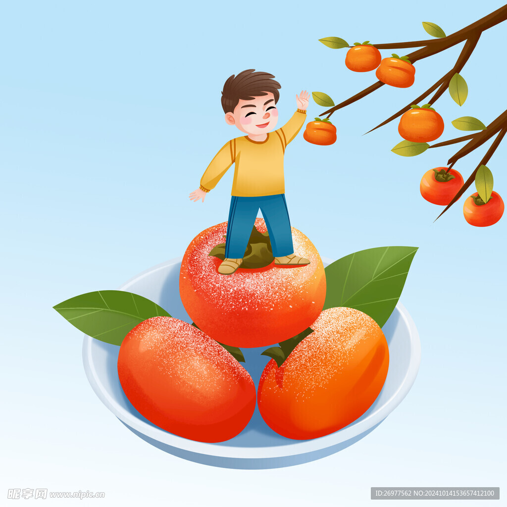  男孩摘柿子 